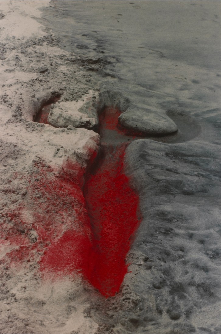 Ana Mendieta • MOCA