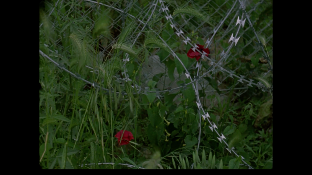 Jennifer Saparzadeh, still from Nu Dem