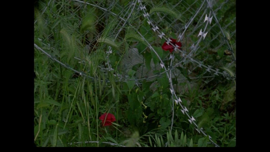 Jennifer Saparzadeh, still from Nu Dem