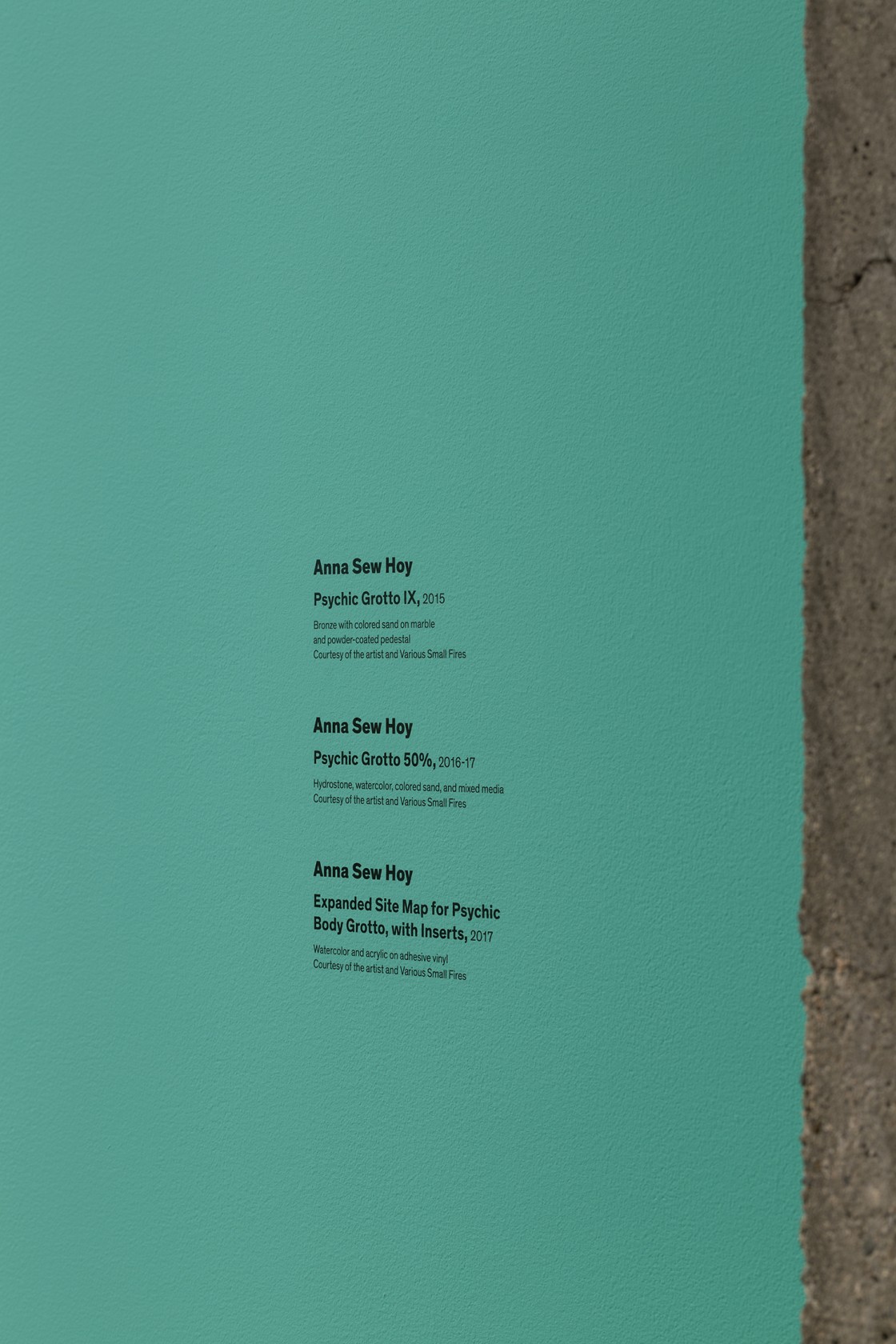Storefront Artist Curated Projects Anna Sew Hoy Moca