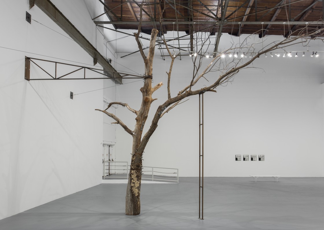 Zoe Leonard Installation View 01