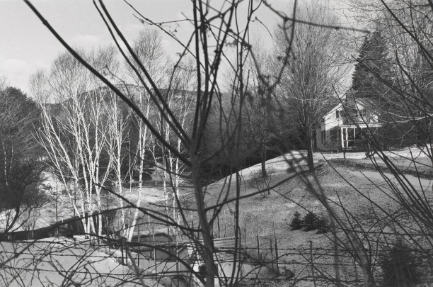 Untitled, Hudson Valley, New York (House with Fences and Branches)