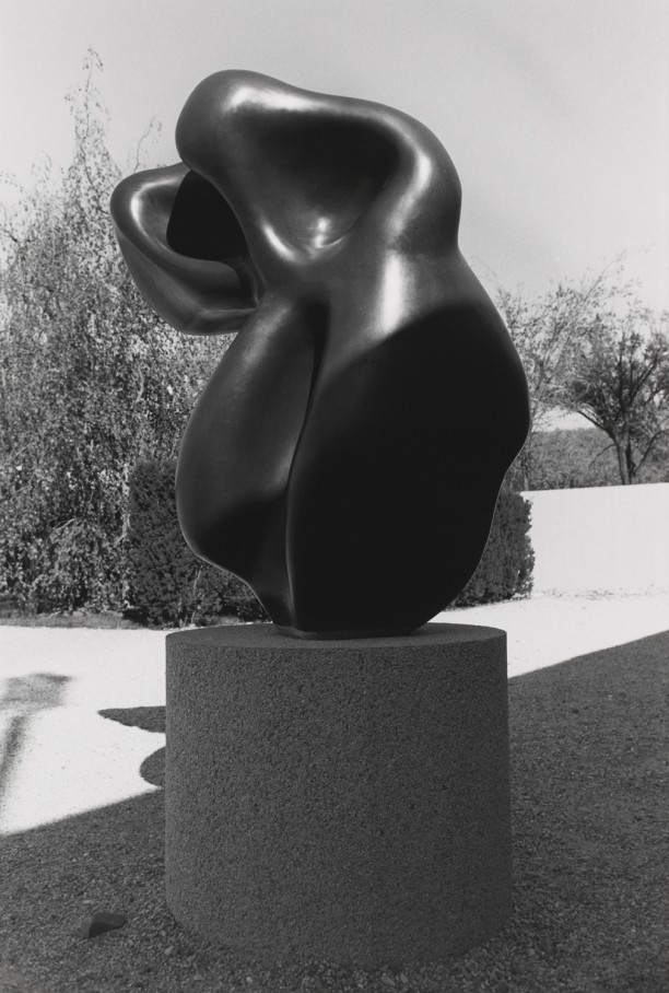 Untitled (Close-Up of Smooth Black Sculpture)