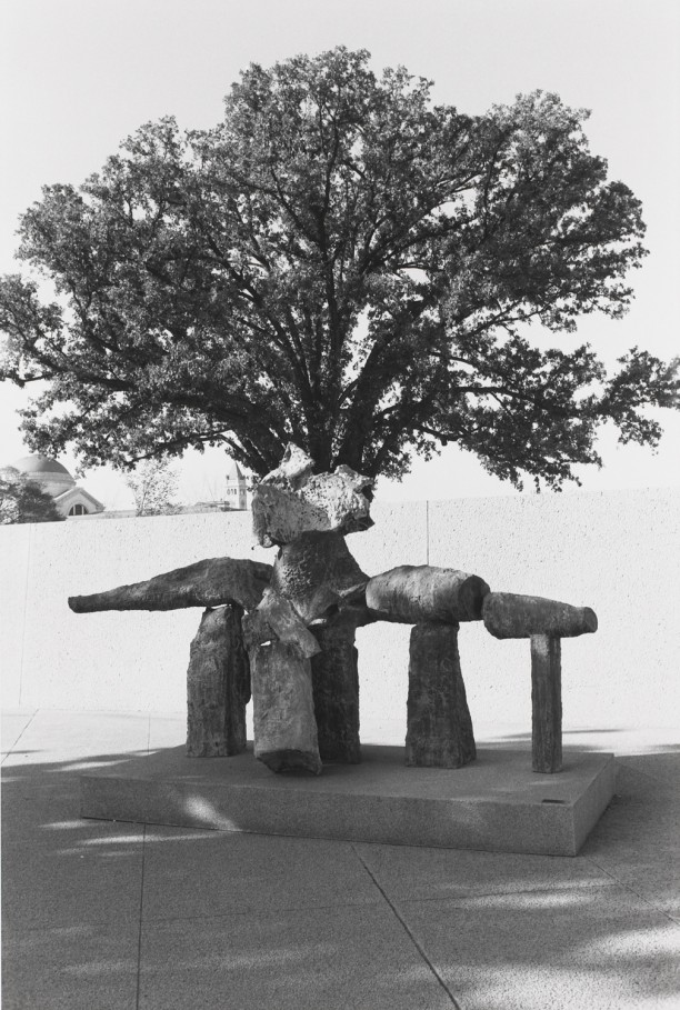 Untitled (Sculpture Rock Formation with Tree)