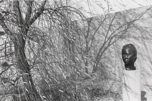 Untitled (Sculpture Head and Trees)