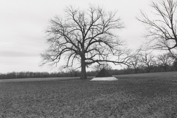 Untitled from Shiloh National Military Park, Tenessee (cannon ball pyramid and tree)