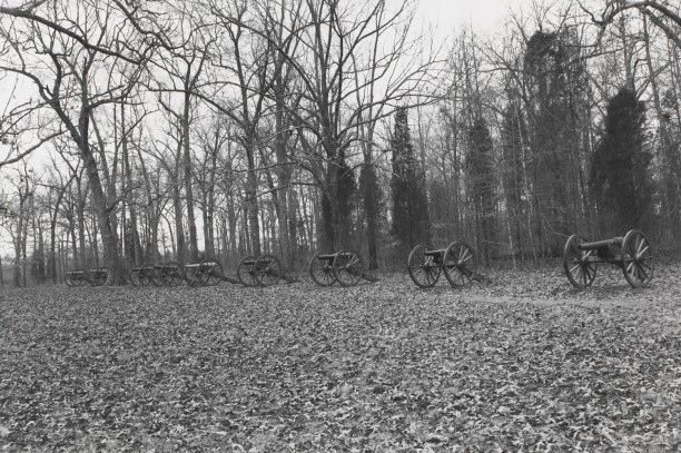 Untitled from Shiloh National Military Park, Tenessee (row of cannons)