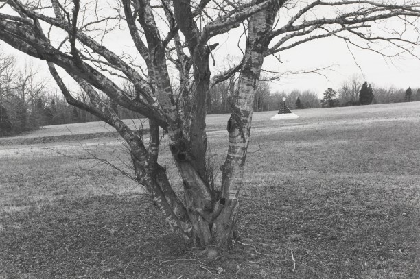 Untitled from Shiloh National Military Park, Tenessee (McArthur with star and tree)