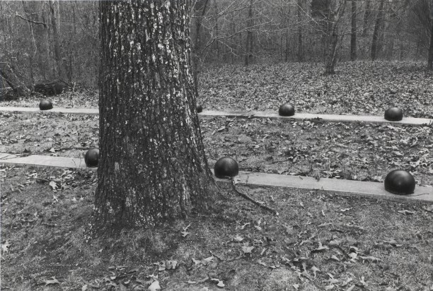 Untitled from Shiloh National Military Park, Tenessee (random balls)