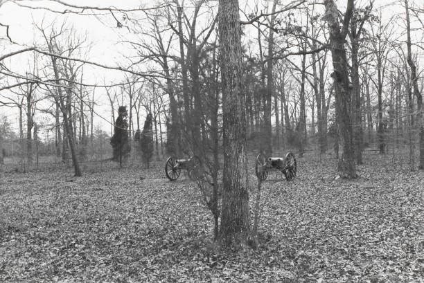 Untitled from Shiloh National Military Park, Tenessee (twin cannons)