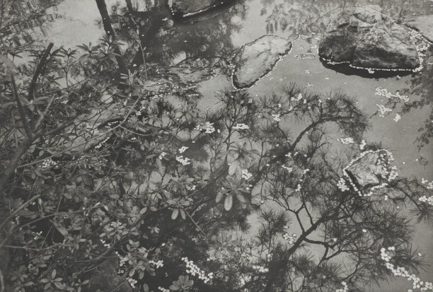 Kyoto (stones in water)