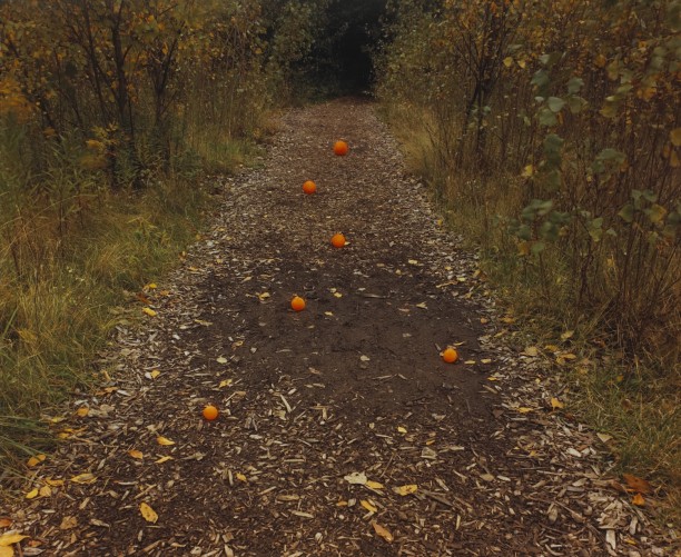 Six Oranges, Delaware Park, Buffalo, New York