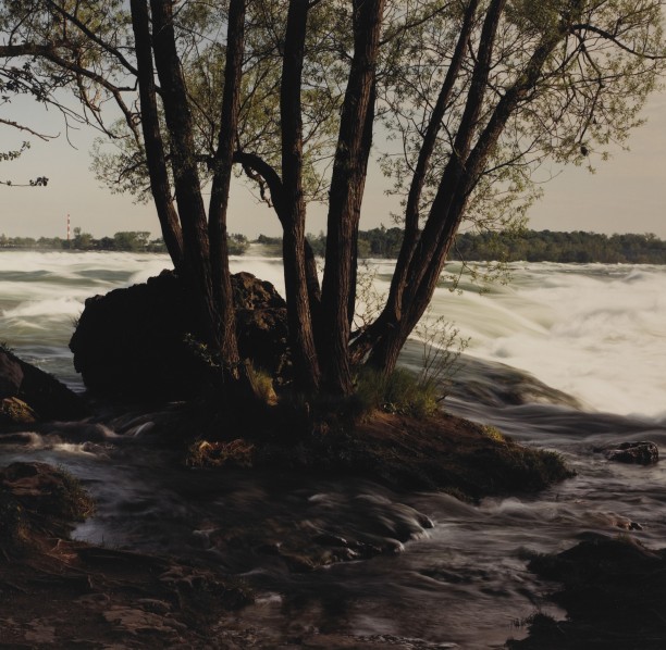 Tree Clump and Rapids from Three Sisters Island