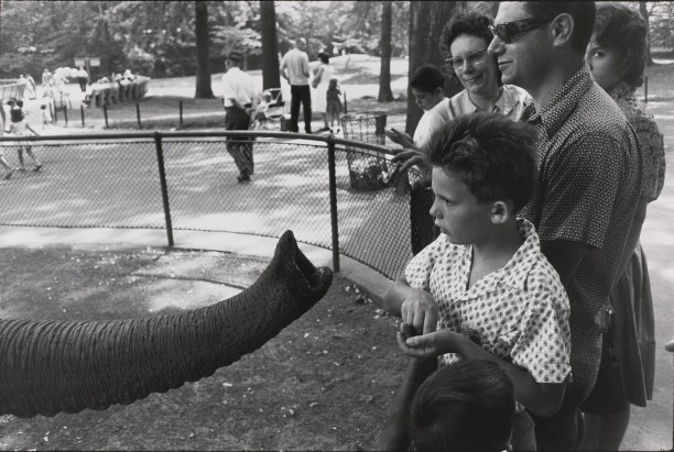 Untitled (A boy feeding an elephant)