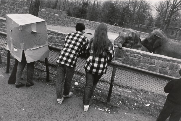 Untitled (Two elephants looking a two people in a box and two people in plaid shirts)