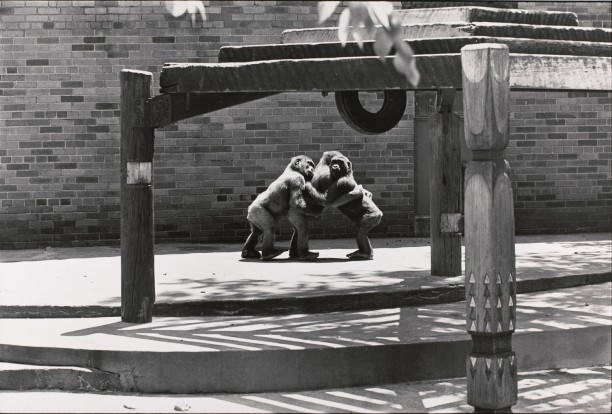Untitled (Three apes hugging)