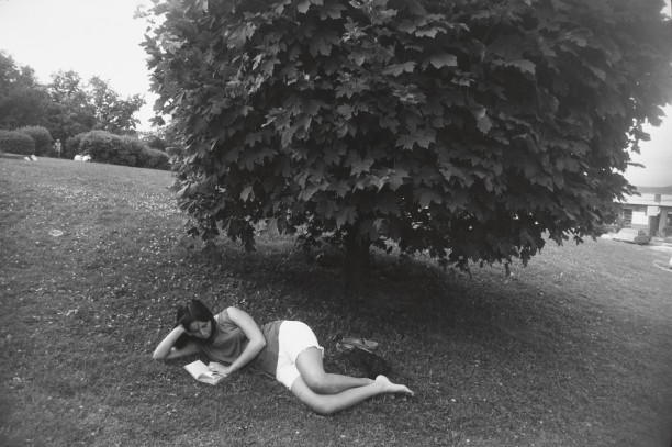 Untitled (Woman reading a book on the grass under a tree)