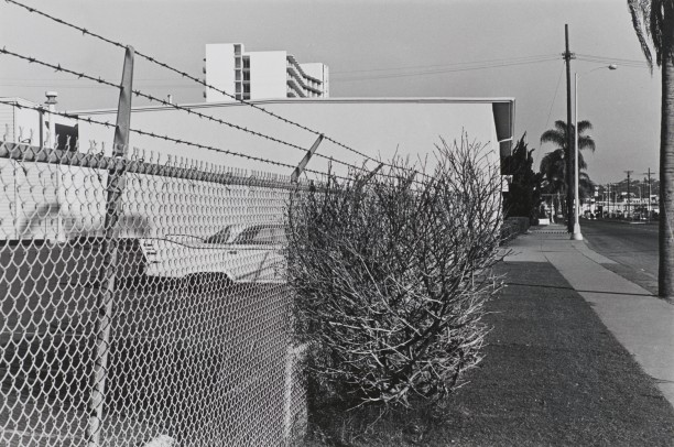 Untitled (Car, Fence, Bush)