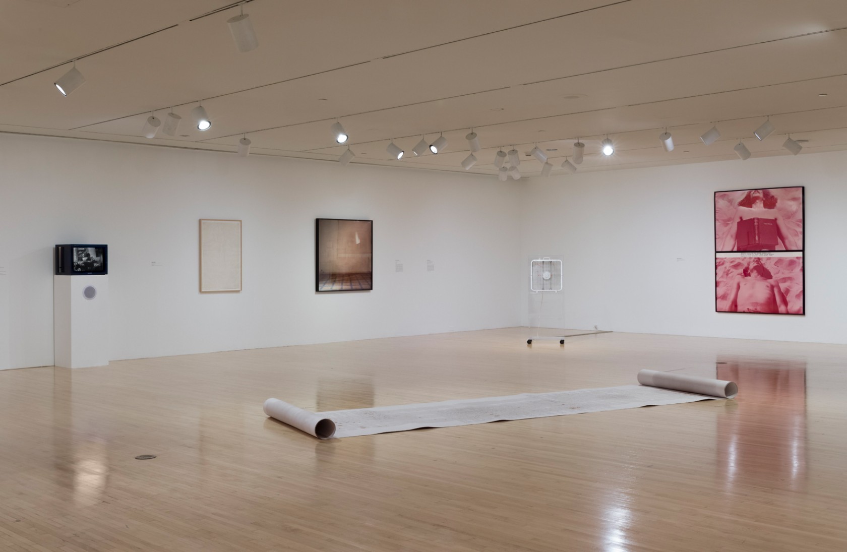 Curator-led Walkthrough of Evidence: Selections from the Permanent Collection