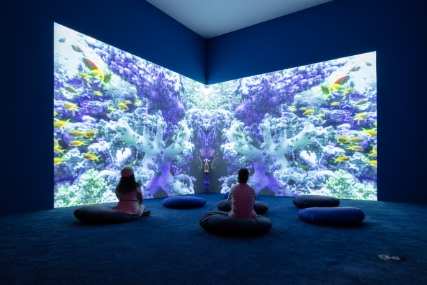 Member Preview Day: Pipilotti Rist: Big Heartedness, Be My Neighbor
