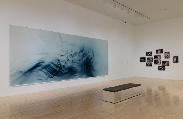 Curator-led Walkthrough of Making Space: Recent Photography Acquisitions
