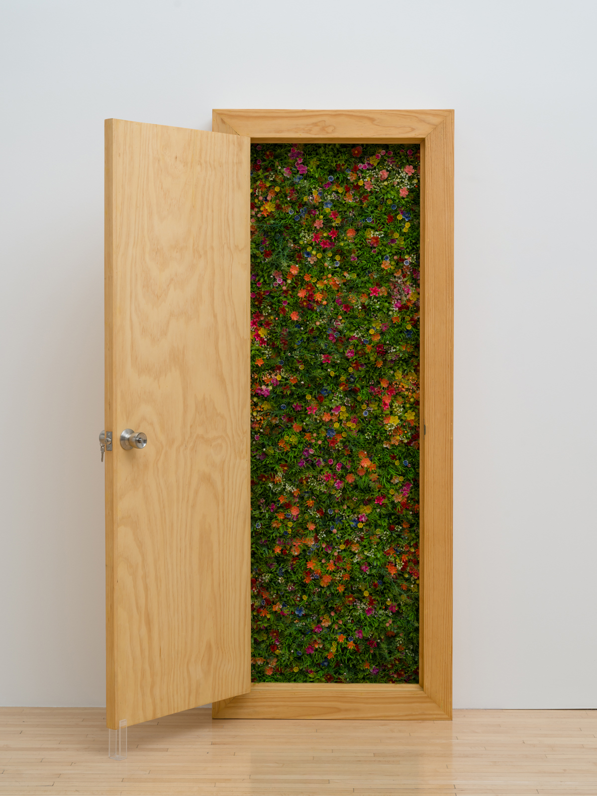Sofía Táboas, Untitled (Puerta II), 2006, Plastic, wood and metal, Door open: 80 3/4 x 52 x 9 in. (205.11 x 132.08 x 22.86 cm). The Museum of Contemporary Art, Los Angeles Purchase with funds provided by Lois Rosen. Photo by Jeff McLane.