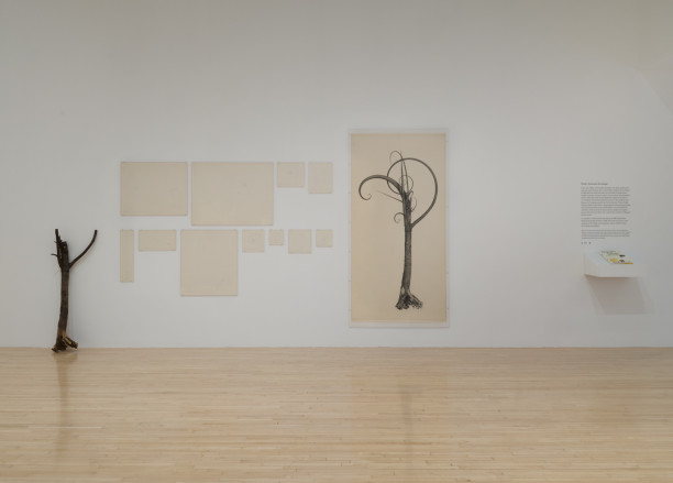 Diary of Flowers: Tomas Osinski In Conversation with Paula Kroll