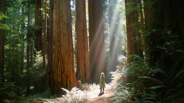 MOCA Climate Conversations: Giants Rising — Screening and Conversation with the Filmmaker